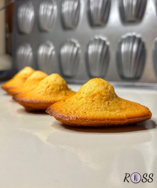 Madeleines francesi alla vaniglia
